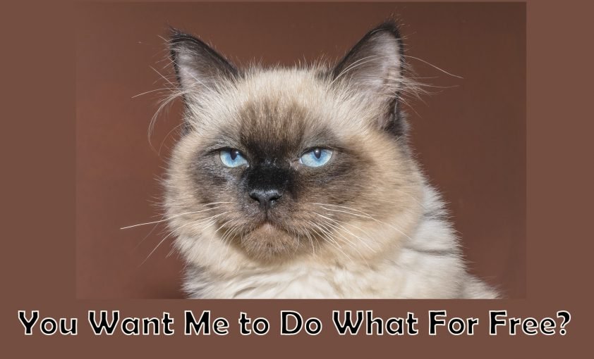 You Want Me to Do What for Free?